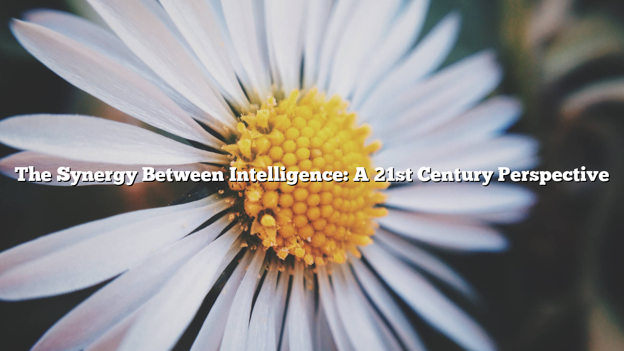 The Synergy Between Intelligence: A 21st Century Perspective