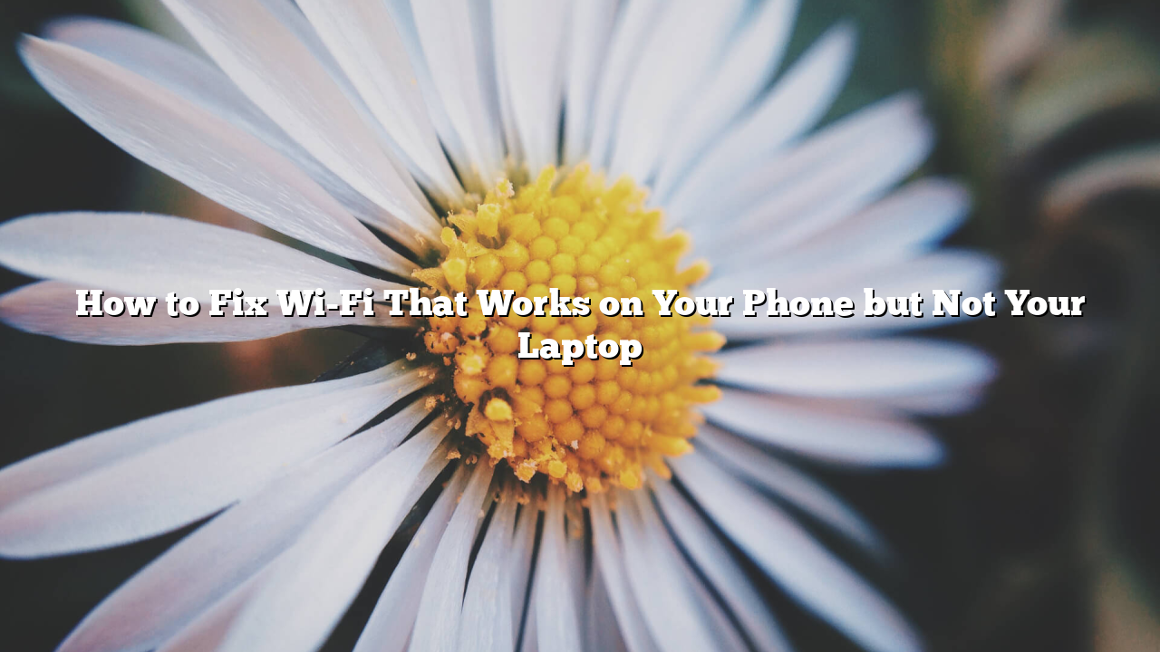 How to Fix Wi-Fi That Works on Your Phone but Not Your Laptop