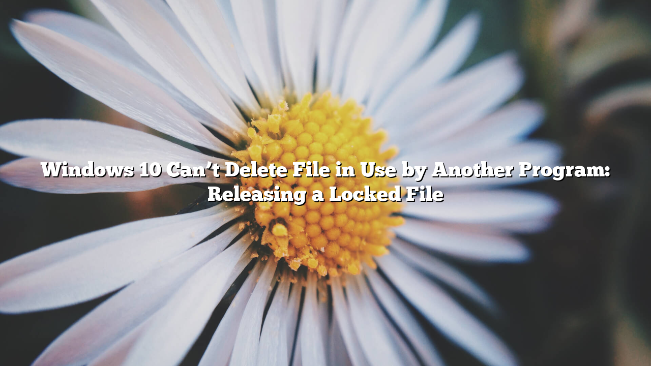 Windows 10 Can’t Delete File in Use by Another Program: Releasing a Locked File
